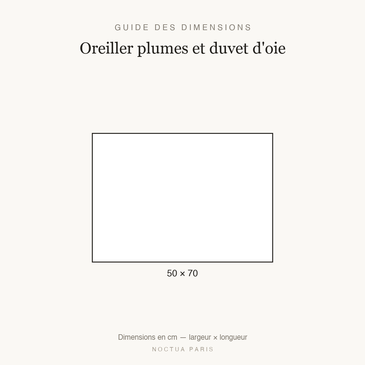 Guide des dimensions oreiller plumes et duvet d'oie Noctua Paris, taille 50x70 cm