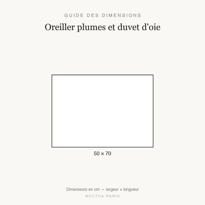 Guide des dimensions oreiller plumes et duvet d'oie Noctua Paris, taille 50x70 cm