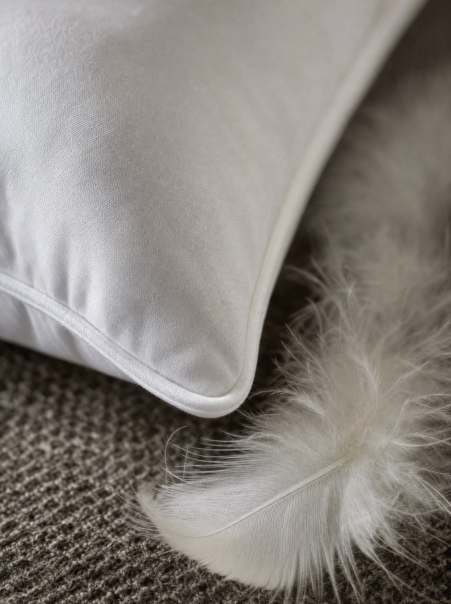 Gros plan macro sur le passepoil coton et une plume de duvet d'oie de l'oreiller Noctua Paris
